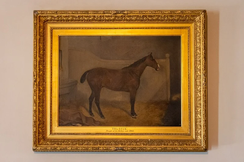 Bay Horse Names