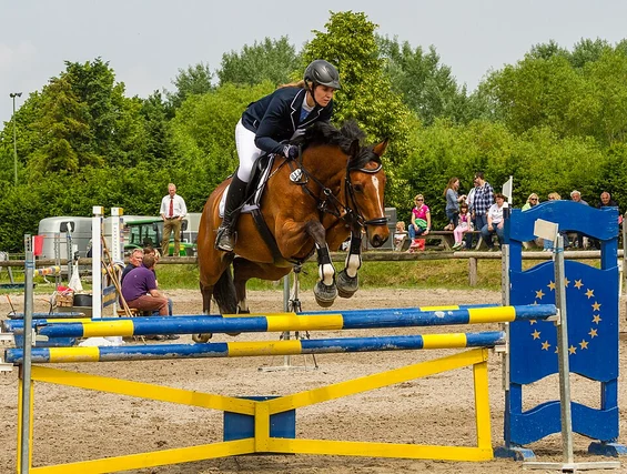 Horse Show Names