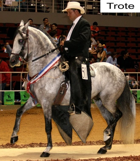Mexican Horse Names