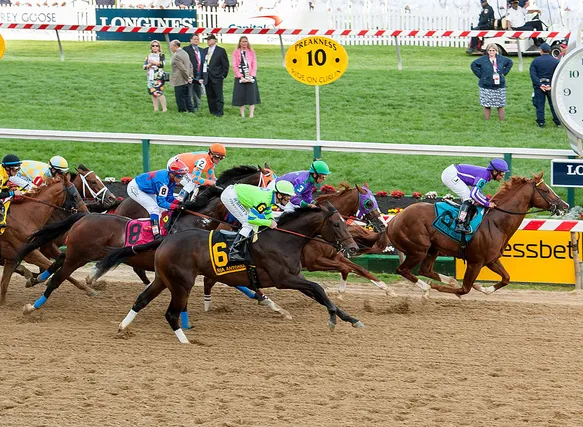 Race Horse Names