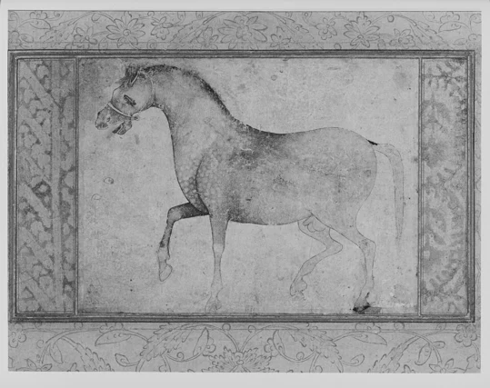 Stallion Names