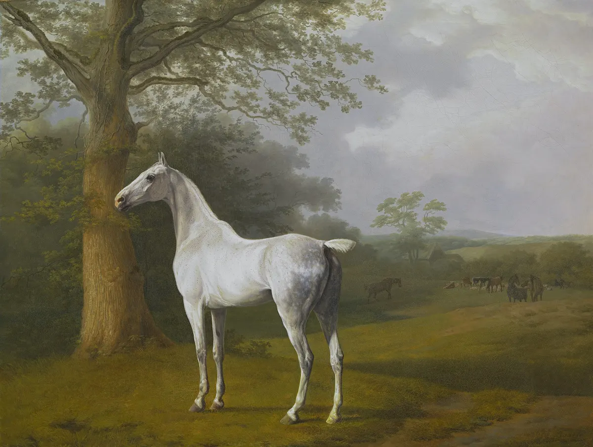 Good Horse Names