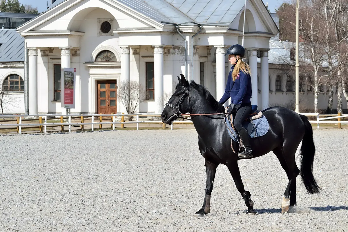 Horse Back Riding