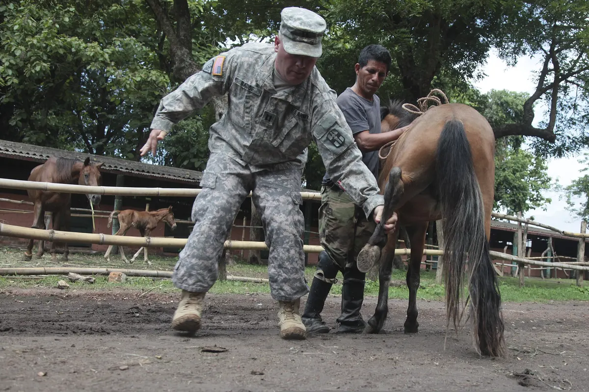 Horse Throwing Up, image 2