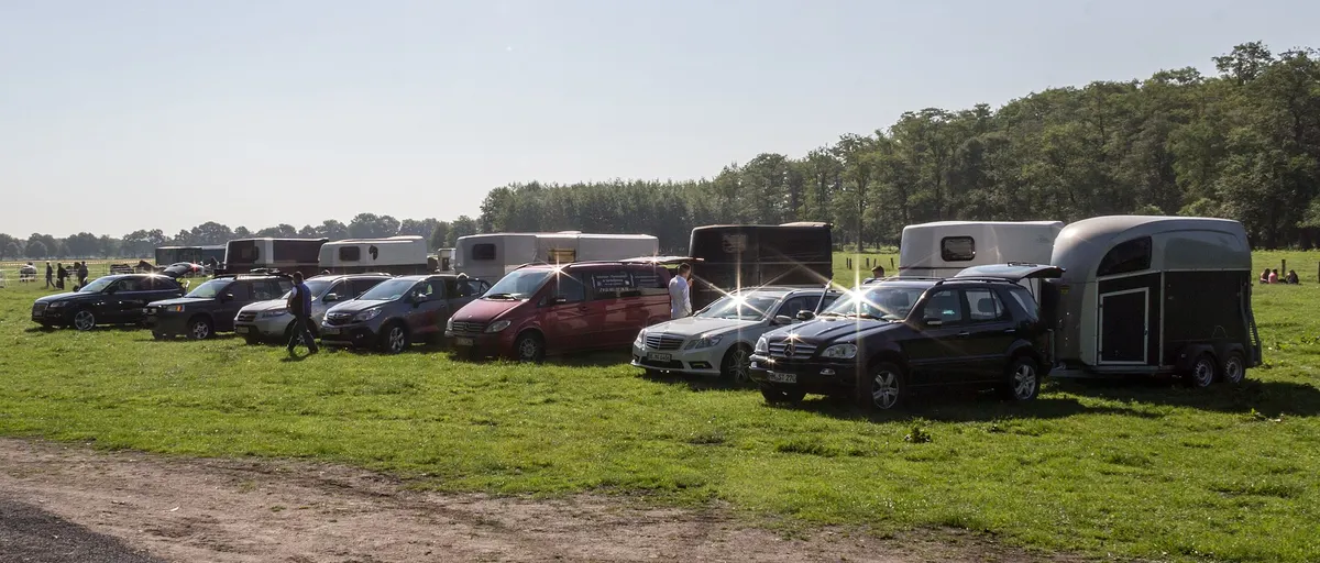 Horse Trailers Near Me