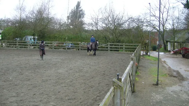 How to Ride a Horse, image 2