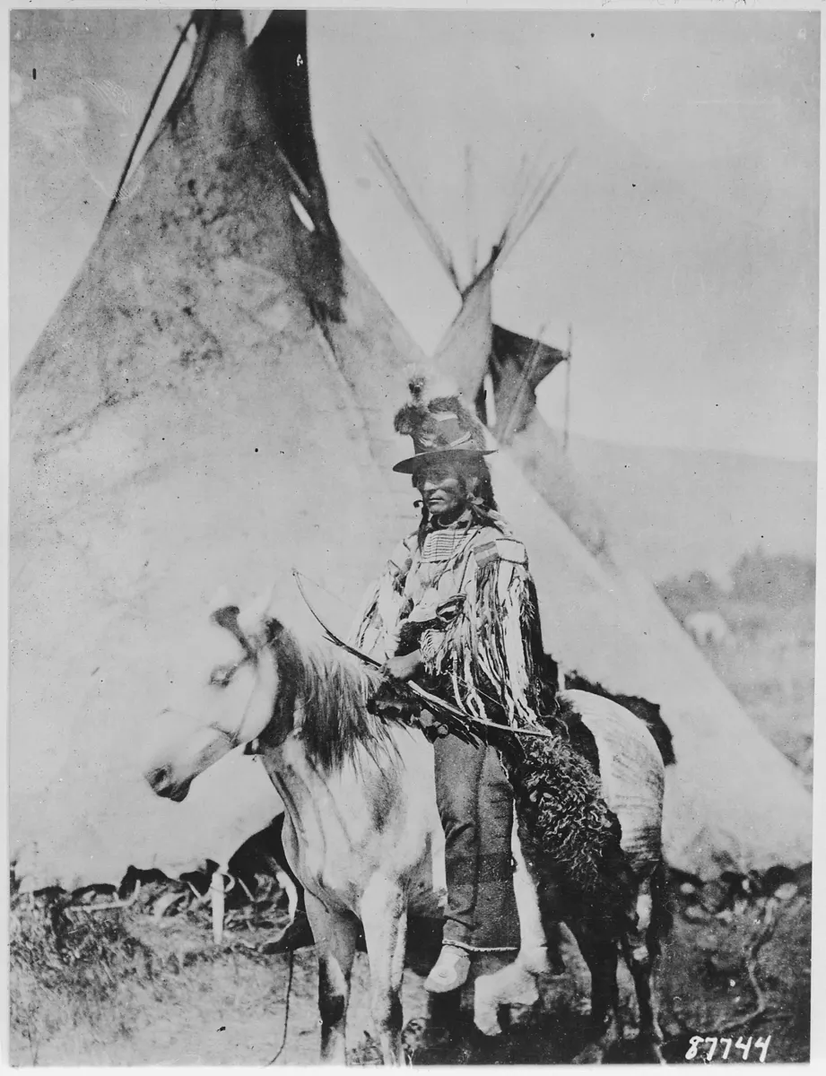 Indian Chief Dark Horse