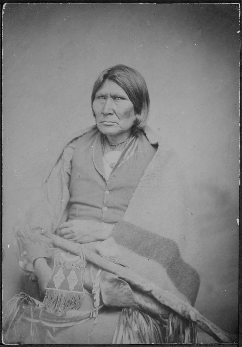 Indian Chief Dark Horse, image 2