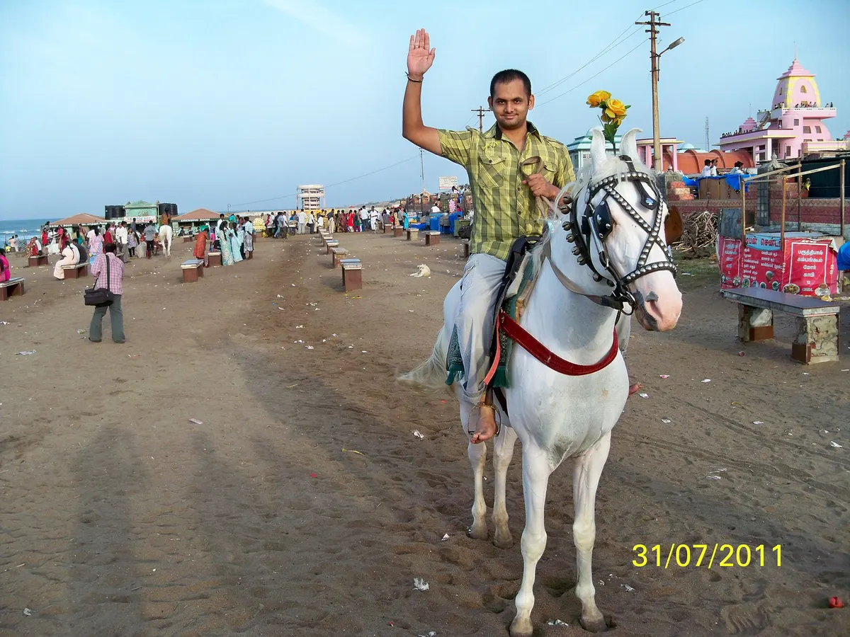 Indian Dark Horse for Sale, image 2