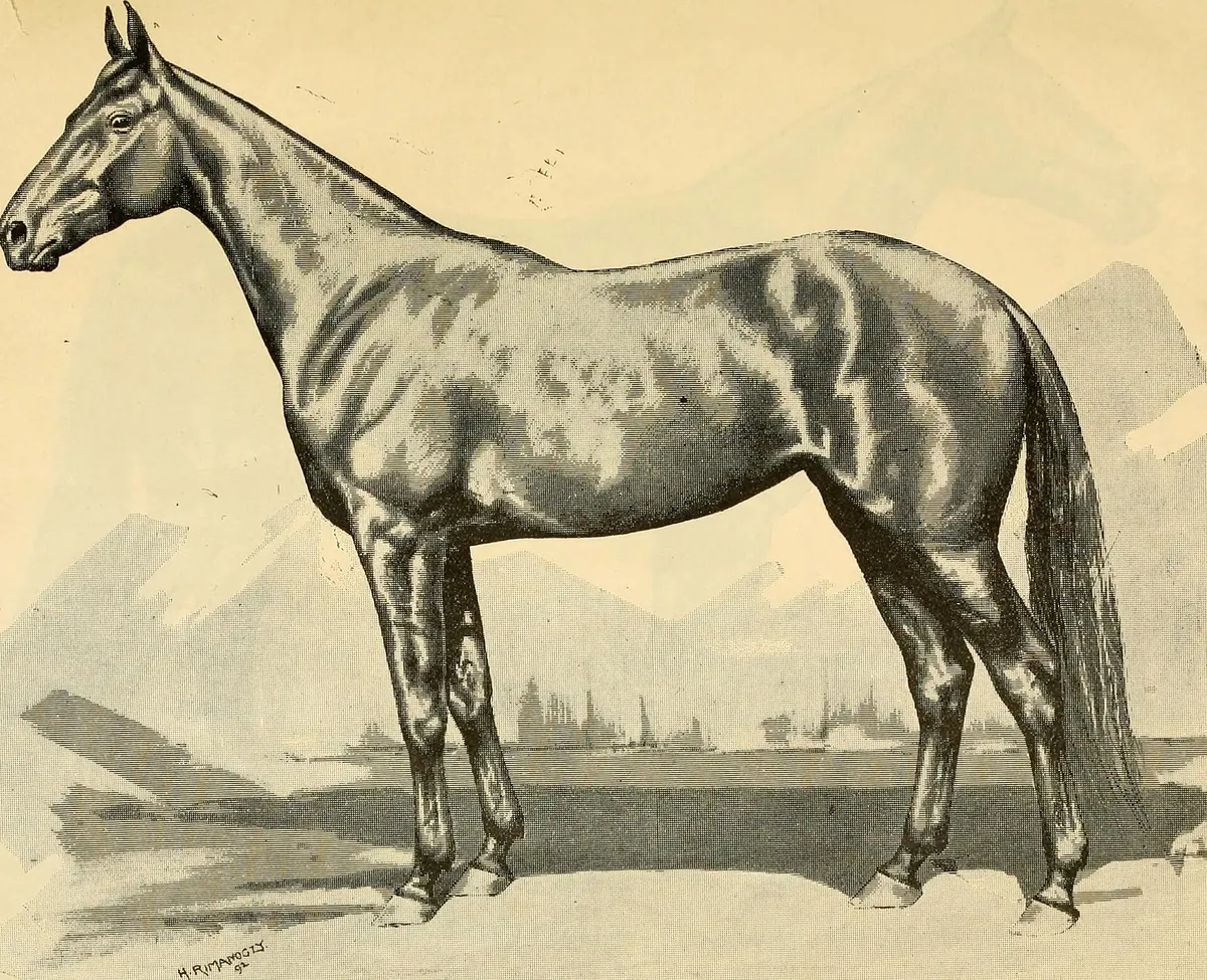 Male Horse Names, image 2