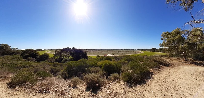Thoroughbred horse in training