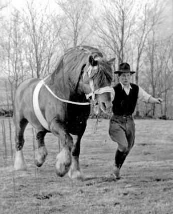 Historical horse racing photo