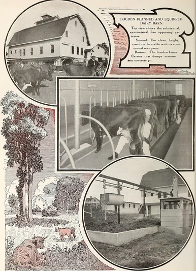 Horses in a stable with name plates