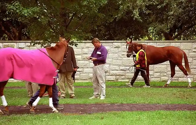 Kentucky Derby horse race